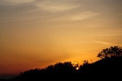 夕日の丘
