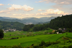 長谷の棚田