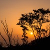 夕日を望む