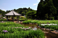 永澤寺