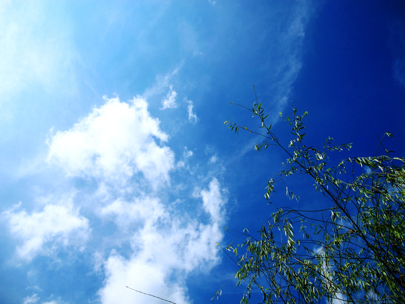 まだまだ夏