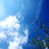 まだまだ夏