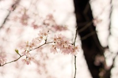 photo538045