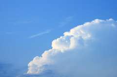 夏