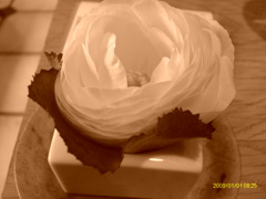 IMAG0036