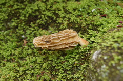 DSC00216