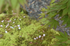 DSC00221