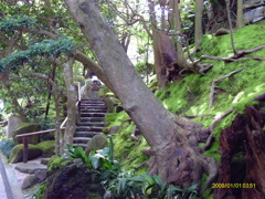 IMAG0010