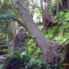 IMAG0010