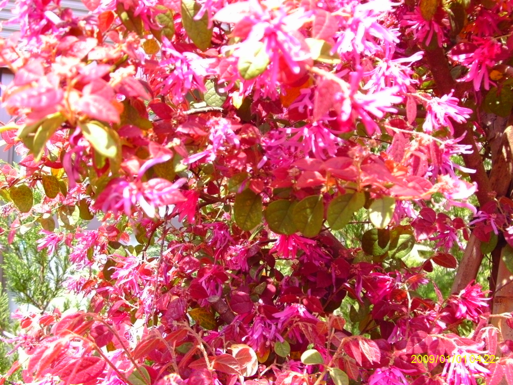 IMAG0018
