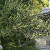DSC00252