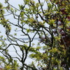 DSC00254