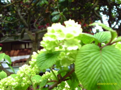 IMAG0032