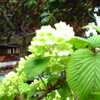 IMAG0032