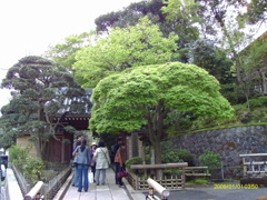 IMAG0008