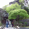 IMAG0008