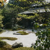DSC00265