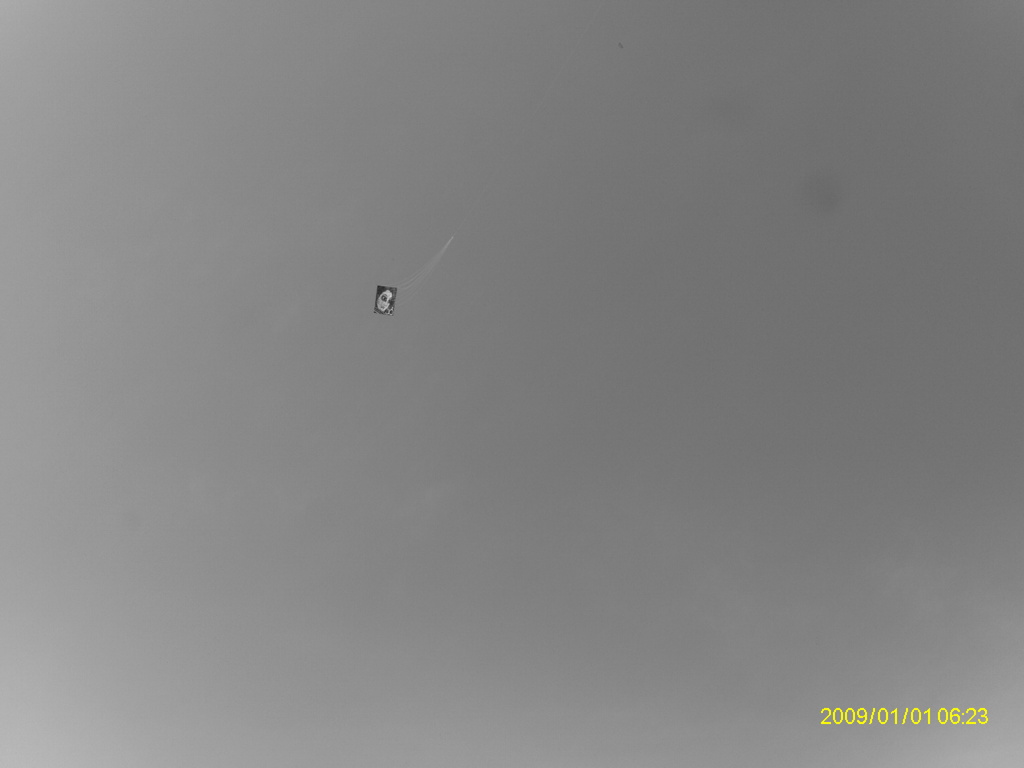 IMAG0024