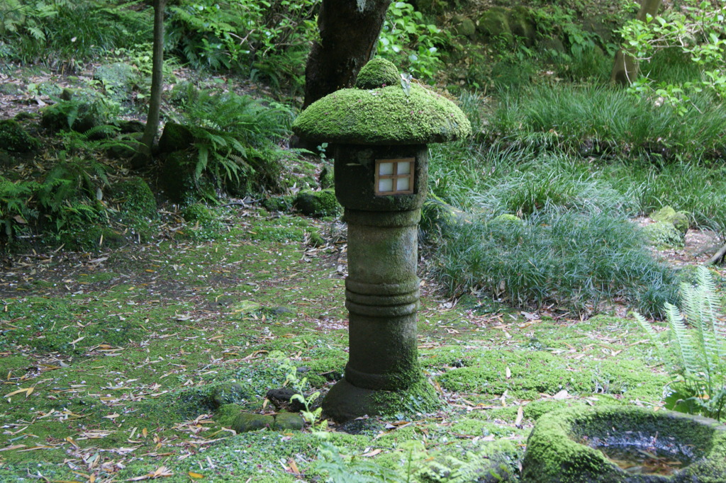 DSC00244