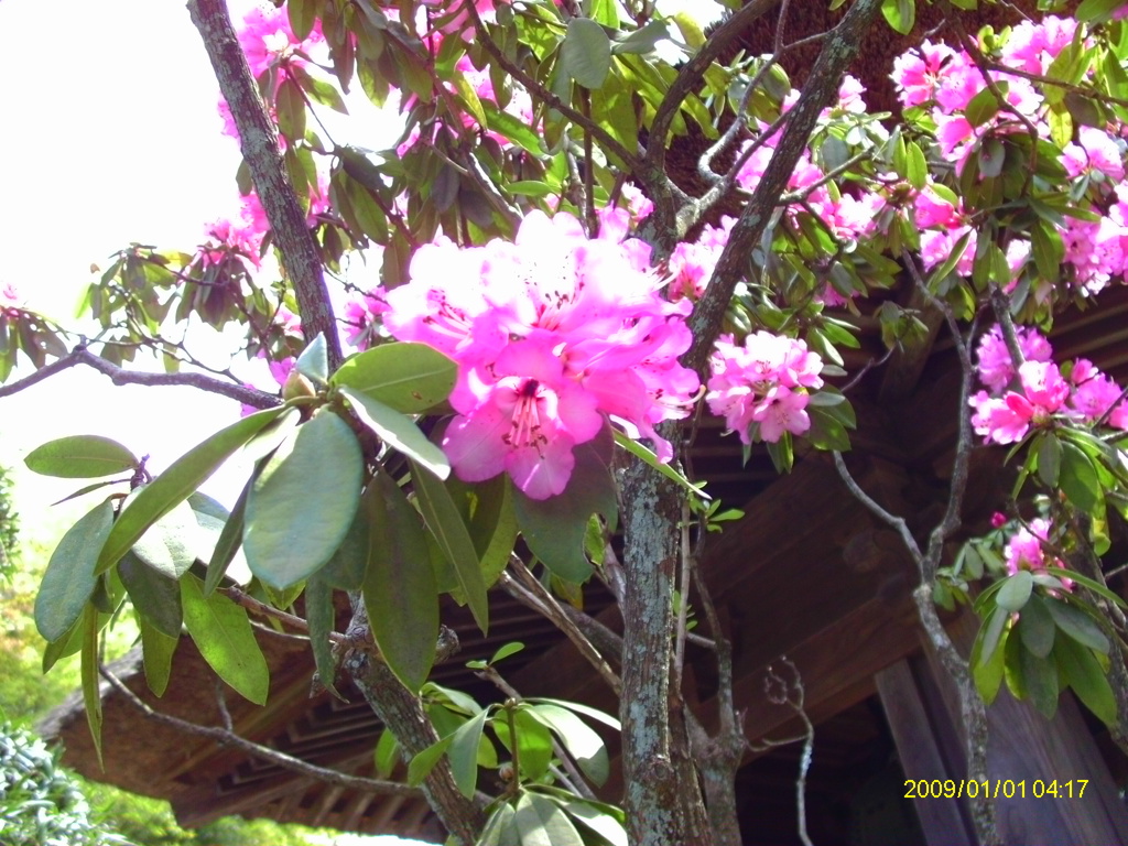 IMAG0012