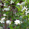 IMAG0031