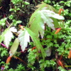 IMAG0015