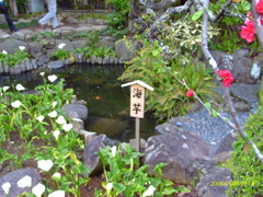 IMAG0029
