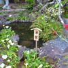 IMAG0029