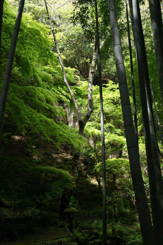 DSC00243