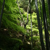 DSC00243
