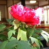 DSC00259
