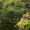 DSC00264