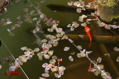 DSC00228