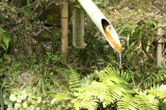 DSC00220