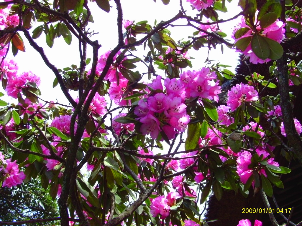 IMAG0011