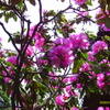 IMAG0011