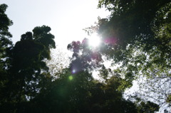 DSC00248