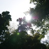 DSC00248