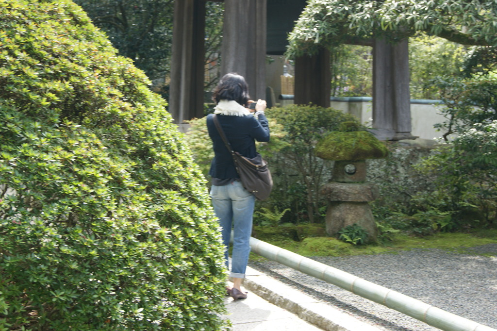 DSC00223