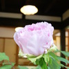 DSC00260