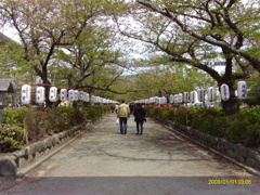 IMAG0002