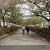IMAG0002