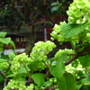 IMAG0033