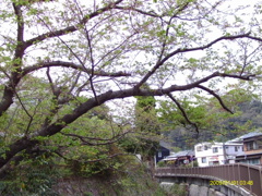 IMAG0007