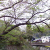 IMAG0007