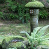 DSC00245