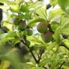 DSC00255