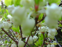 IMAG0021
