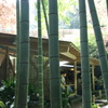 DSC00240