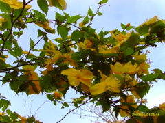 IMAG0020